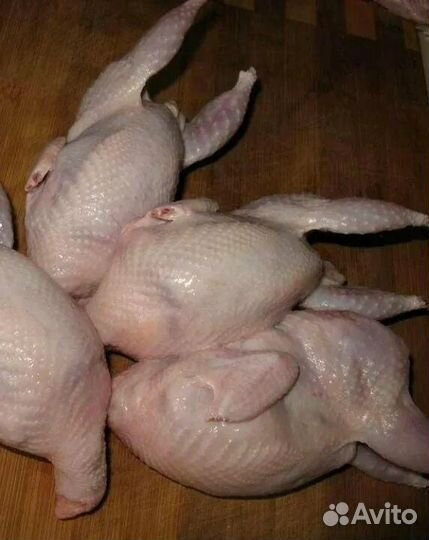 Яйца перепелиные домашние