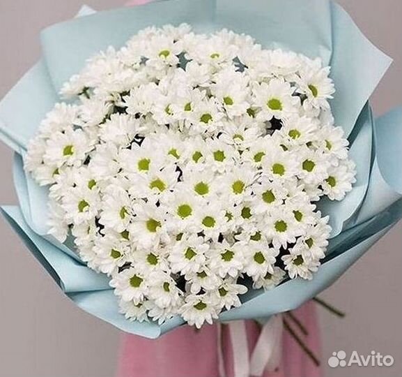 Хризантема Букеты с доставкой