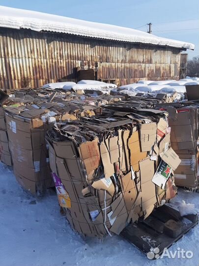Макулатура, картон. прием, вывоз