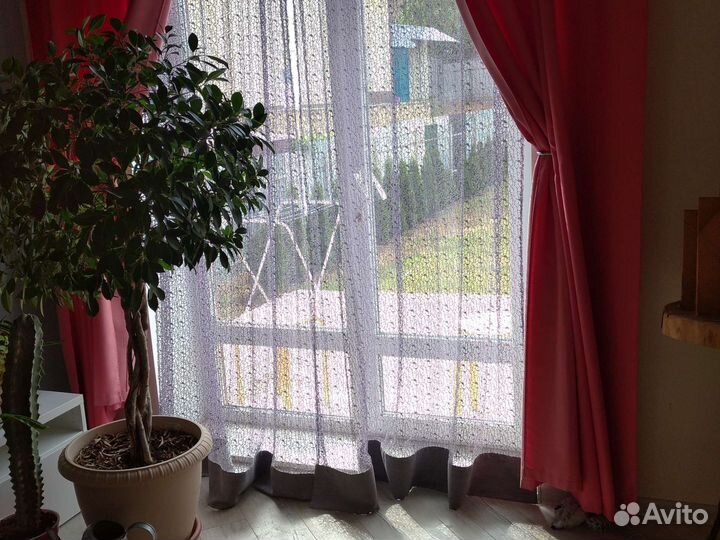 Шторы прозрачные