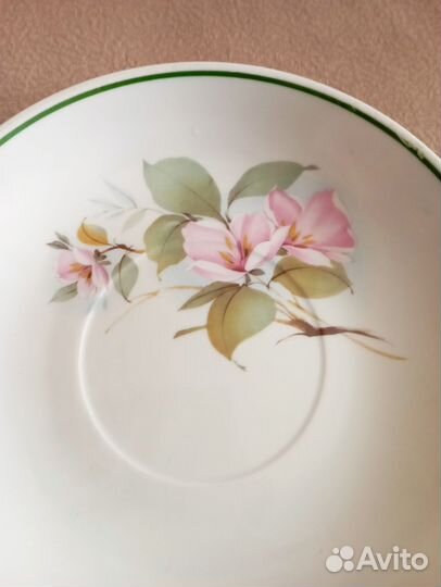 Блюдце - гигант , Вербилки , СССР