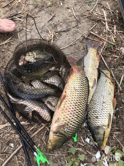 Крючки рыболовные