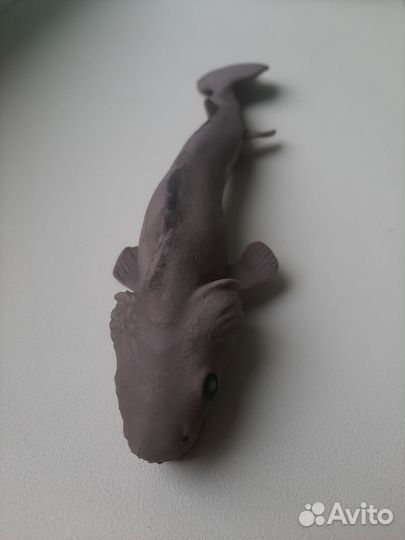 Плащеносная акула Co&maksi deagostini