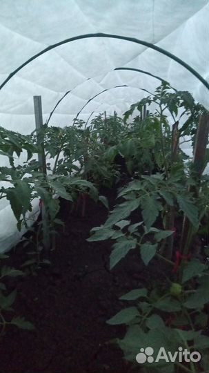 Термоукрывной материал, Термолюкс, Термопремиум