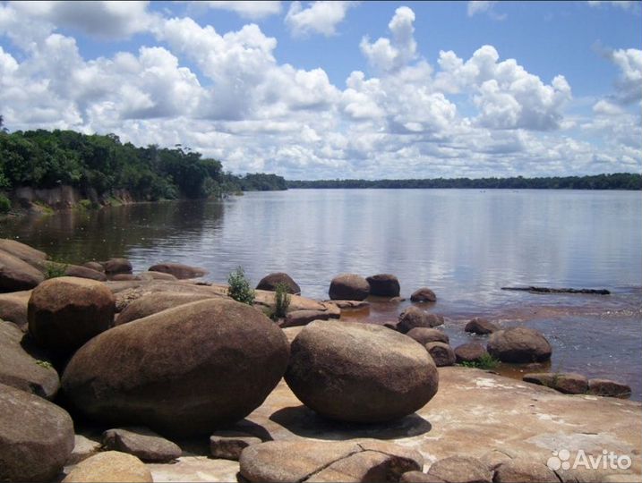 Компактный фотоаппарат samsung nv10 торг