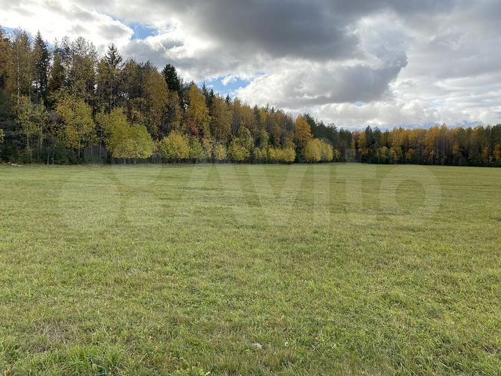 Участок 10 га (СНТ, ДНП)