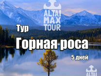 Тур по Алтаю 5 дней