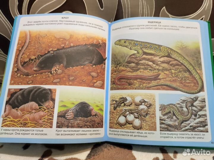 Книга о животных