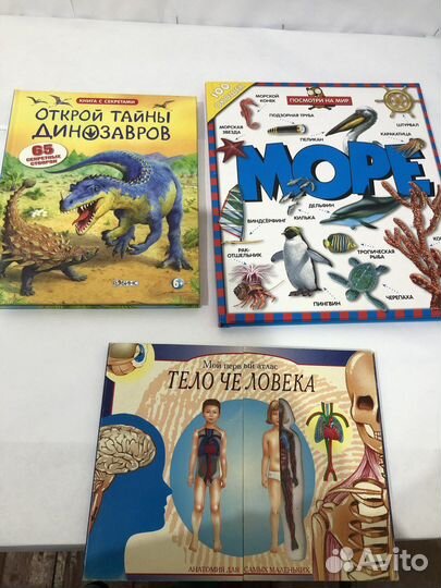 Детская энциклопедия. книга с окошками