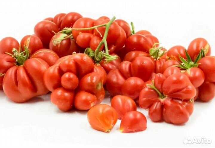 Томат Вояж семена