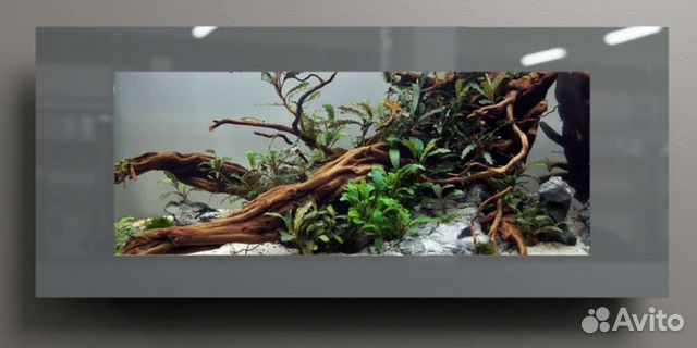 Настенные аквариумы на прямую от производителя