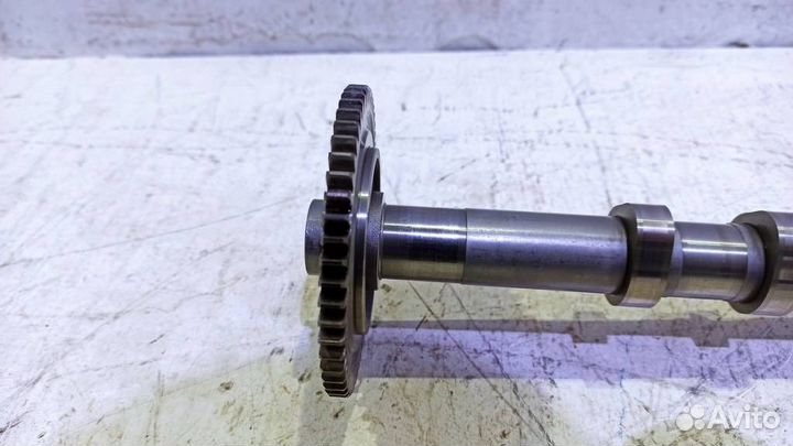 Распредвал впускной A6420502801