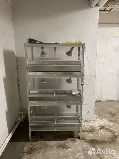 Клетки и брудеры для кур и перепелов