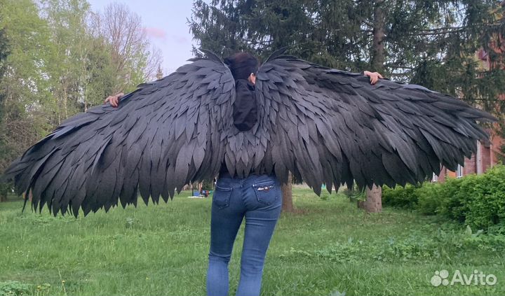 Крылья (аренда)