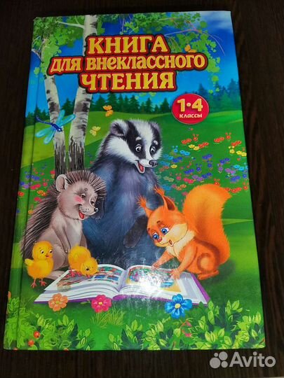 Книга для внеклассного чтения