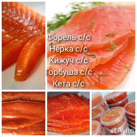 Торт 3 шоколада, тирамису и тд