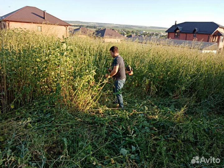 Покос травы с пил деревьев