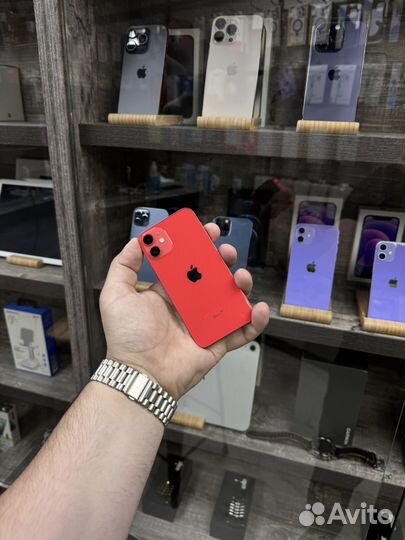 iPhone 12 mini, 256 ГБ
