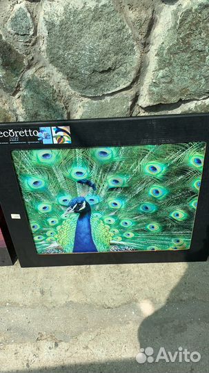 Картины новые для интерьера оргстекло