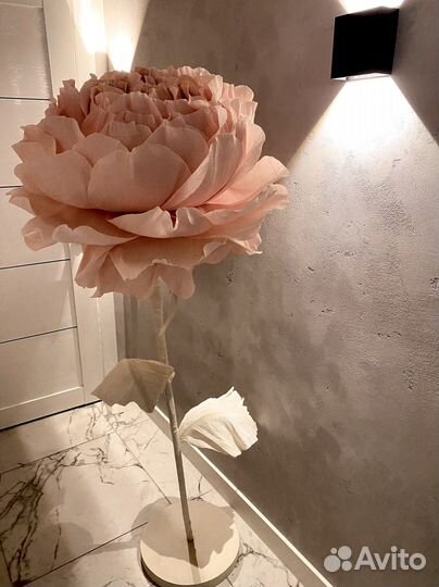 Ростовой цветок Пион интерьерный