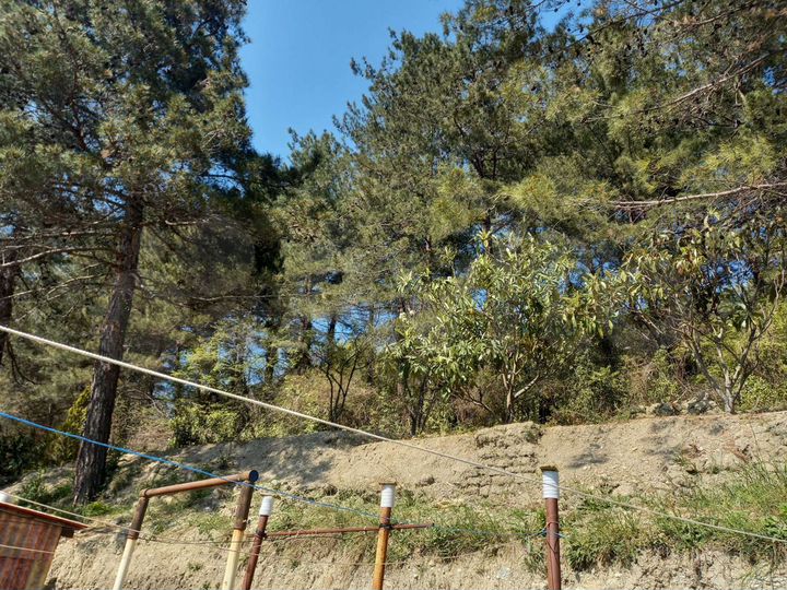 Участок 16 сот. (ИЖС)