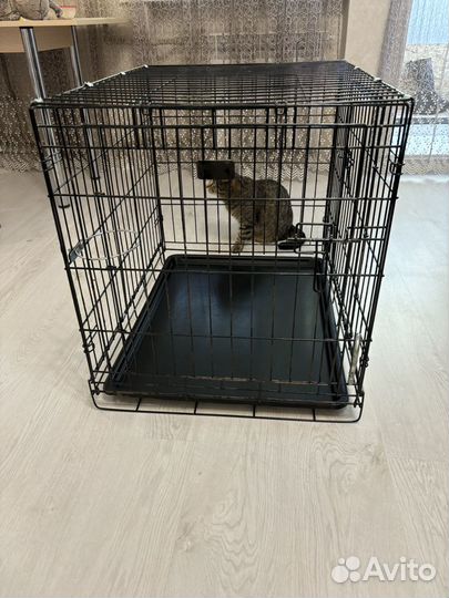 Клетка для собак №3