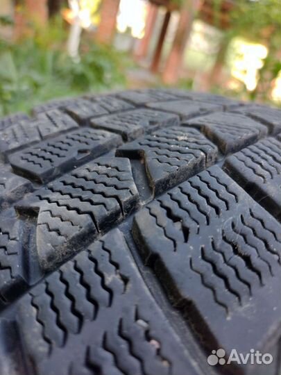 Dunlop Winter Maxx 205/55 R16