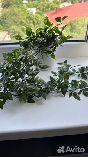 Искуственное растение икеа фейка и кашпо