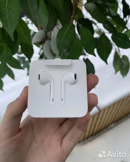 Наушники apple earpods