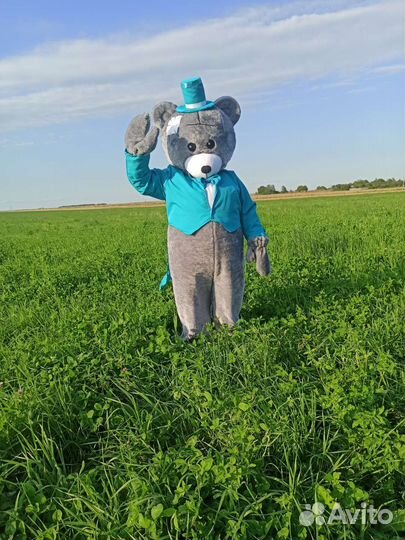 Поздравление Мишка Тедди