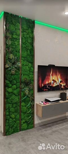 Стабилизированный мох производство, эко панели