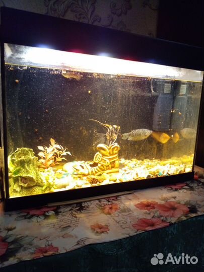 Аквариум с подсветкой и фильтром