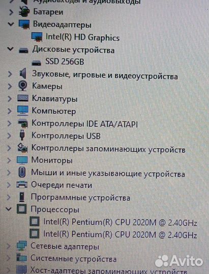 Acer