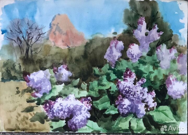 Акварельные работы кисти Анны Давыдченко