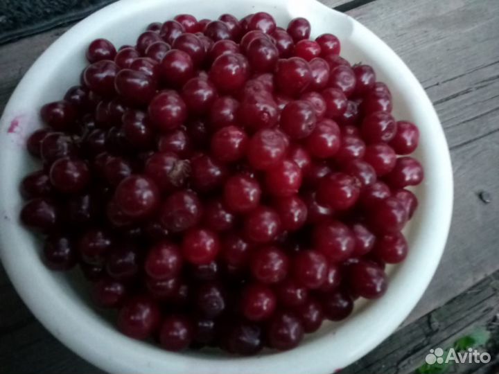 Продам вишню