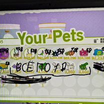 Pet Simulator продажа