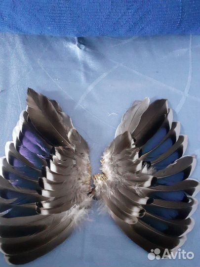 Перья дикой птицы