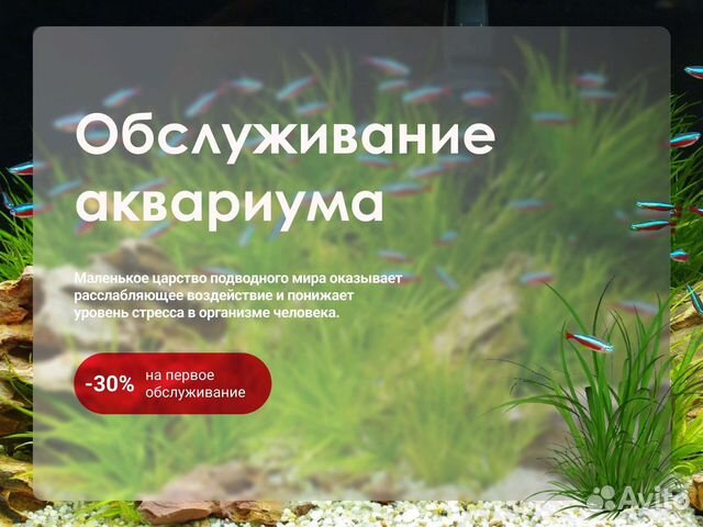 Обслуживание аквариумов
