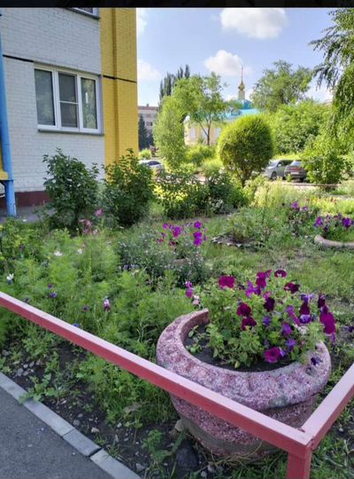 3-к. квартира, 80,1 м², 7/13 эт.