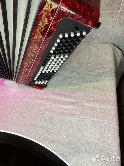 Баян Этюд 205м2 Золотистая роспись Уникальная