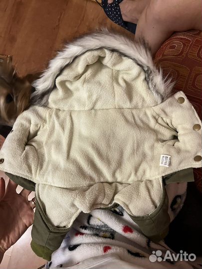 Зимний комбинезон для собак