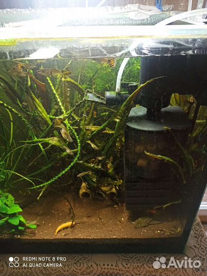 Аквариум готовый на 150 литров