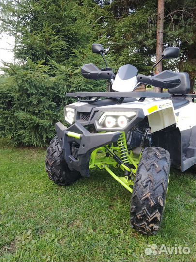 Wild track 200
