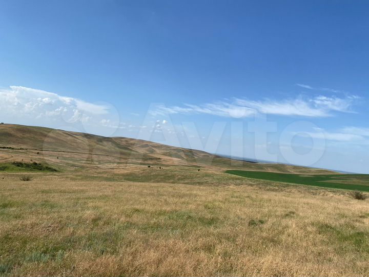 Дача 220 м² на участке 55 сот.