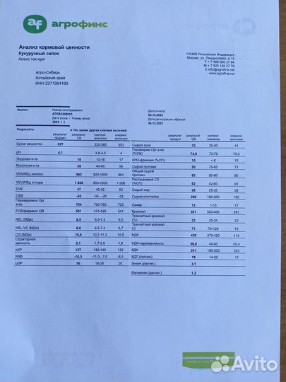 Корма для крс. Силос кукурузный