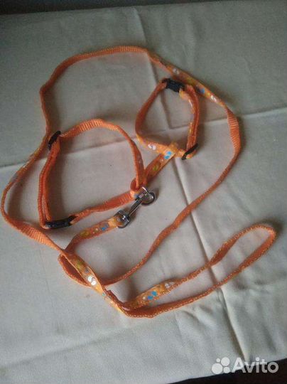 Поводок для котенка