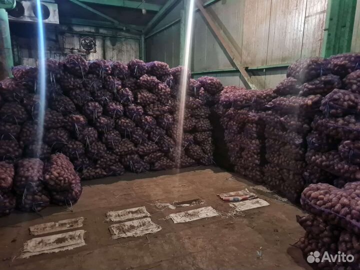 Продукты питания