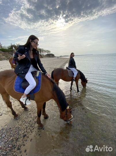 Конные прогулки, обучение верховой езде