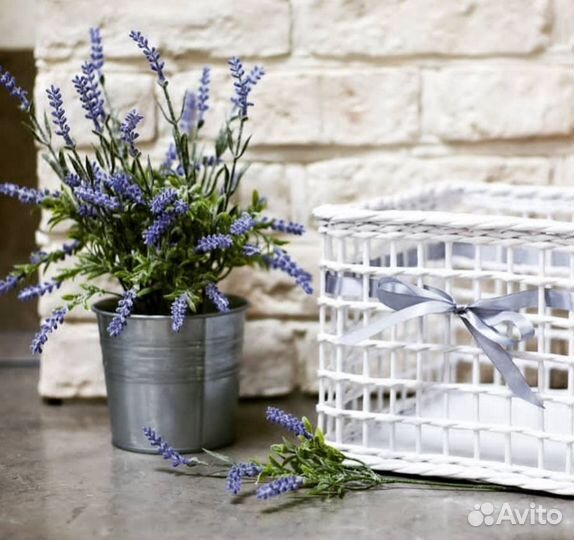 Кашпо с лавандой