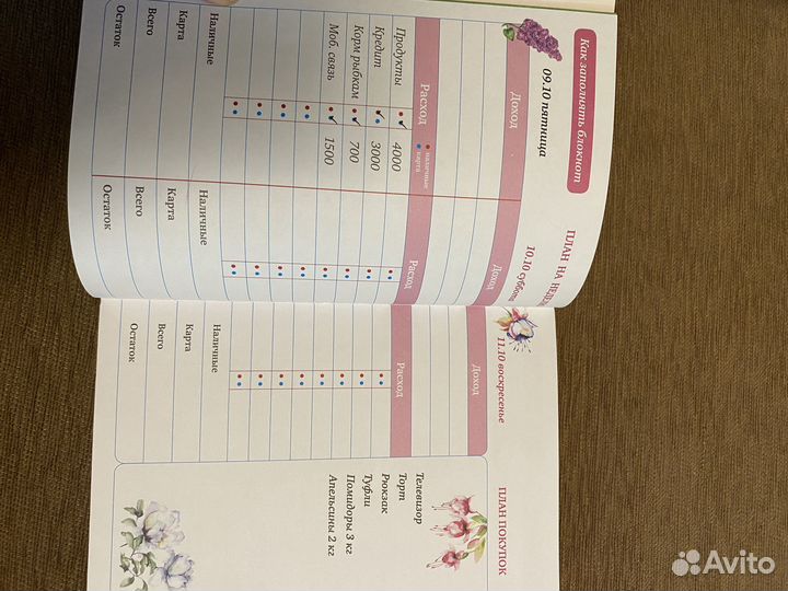 Умный блокнот.Мои доходы и расходы